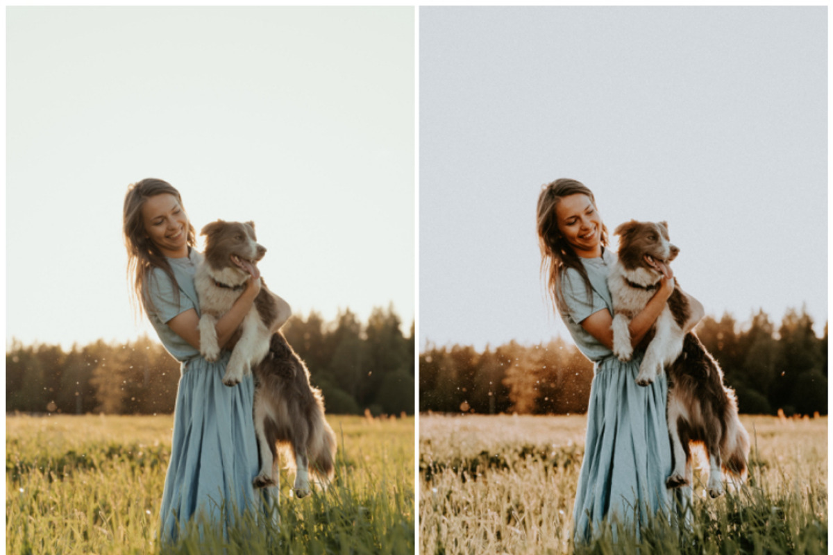 20 Lightroom Presets Golden Hour p1, a Preset Add-On by PerfectStudioPresets (Photo 7 of 10)