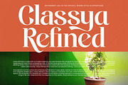 Single Robusta Modern Display Serif, a Serif Font by timelesstype.co (Thumbnail 11 of 20)