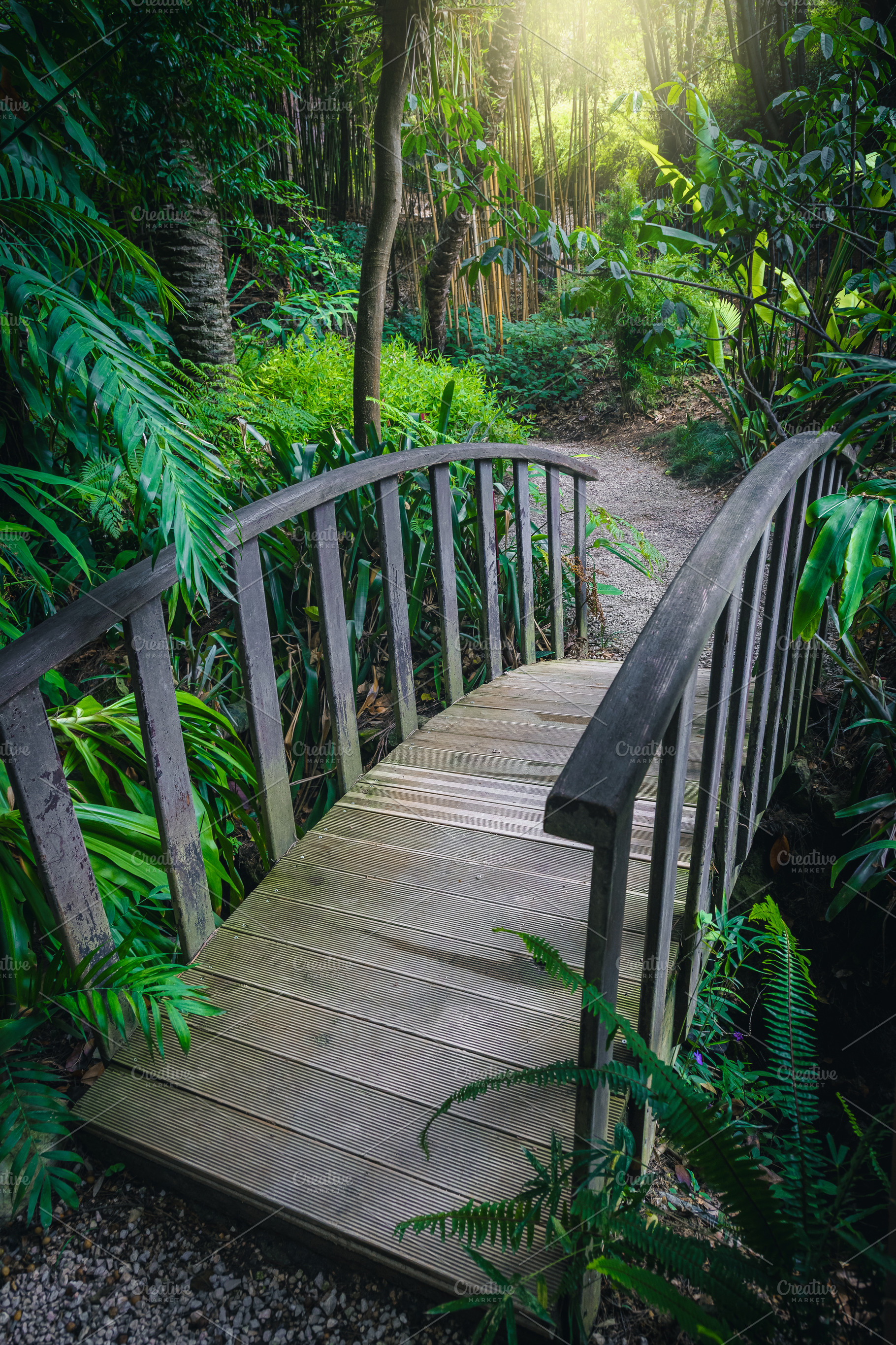 Walkway and wooden bridge, a Nature Photo by Alpine Dreams