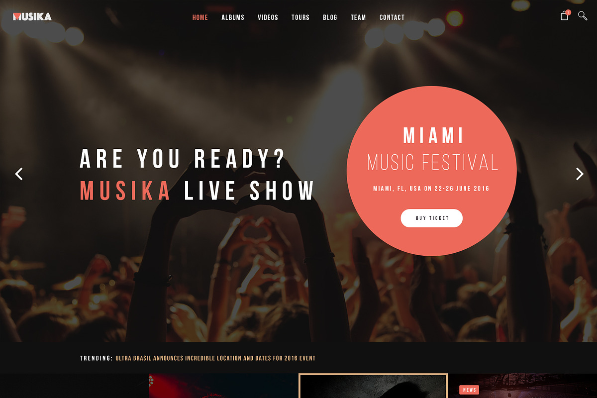 Musika - Music Band WP Theme, a WordPress Template by TemPlaza (Photo 4 of 5)