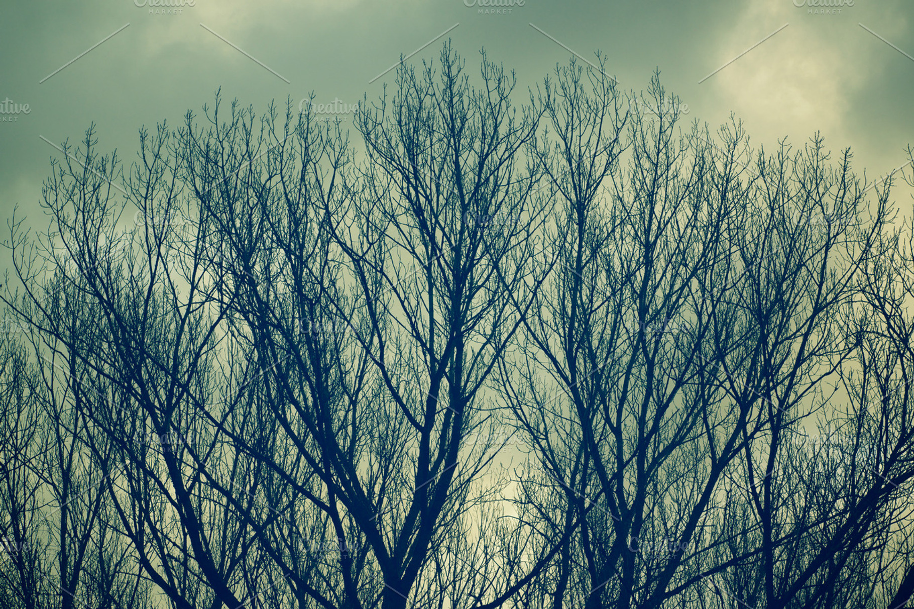 Spring Sky Stock Picture