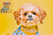 Whit Oil Paint, an Action Add-On by MRI STUDIO (Thumbnail 9 of 15)