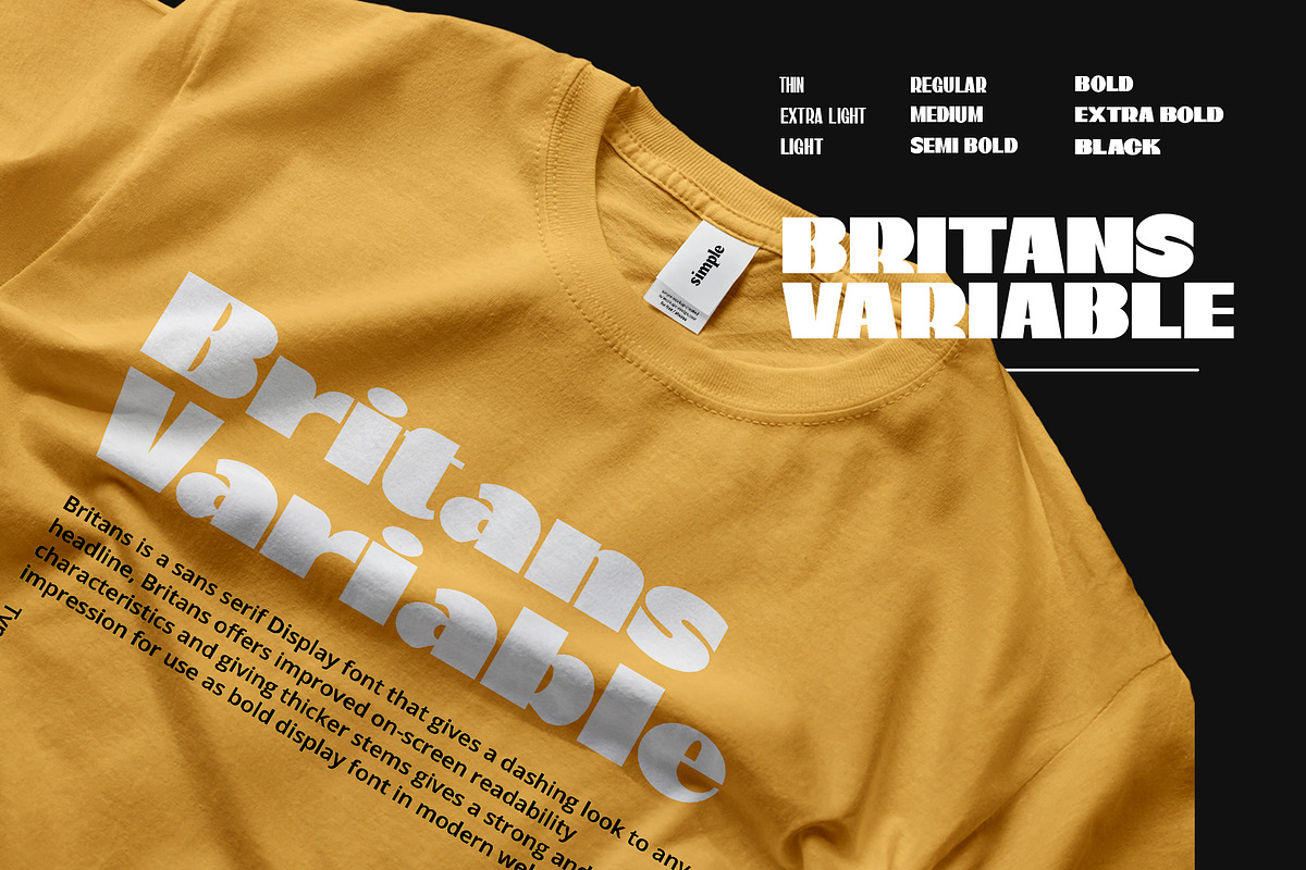 Britans Font, a Sans Serif Font by Damelev (Photo 10 of 11)