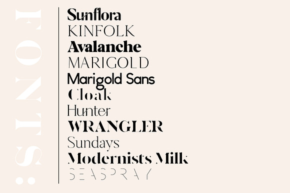 The Chic Unique Modern Font Bundle