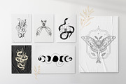 120+ Mysterious night, an Animal Illustration by Chikovnaya (Thumbnail 2 of 11)