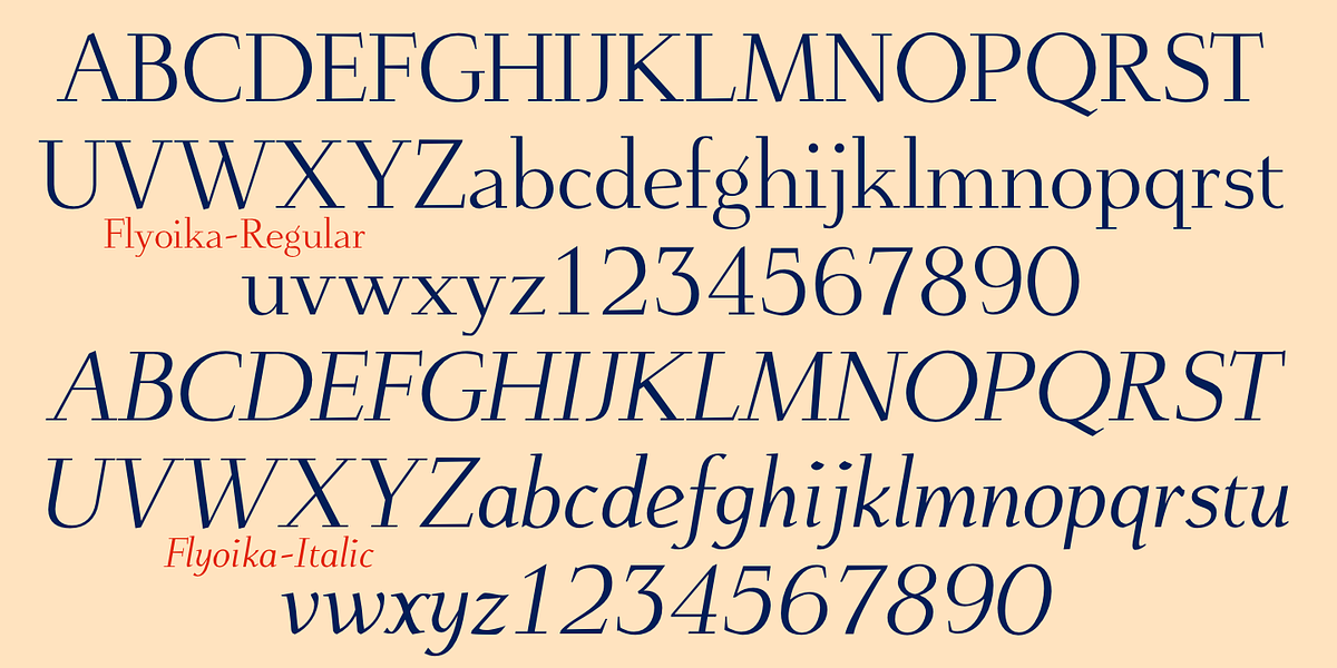 Flyoika, a Slab Serif Font by Ingrimayne Type (Photo 7 of 10)