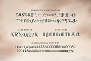 Sandatory - An Elegant Serif, a Serif Font by Typefactoryco (Thumbnail 3 of 8)