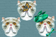Portraits of Exotic Shorthair cat, an Animal Illustration by Watercolor fantasy (Thumbnail 3 of 6)