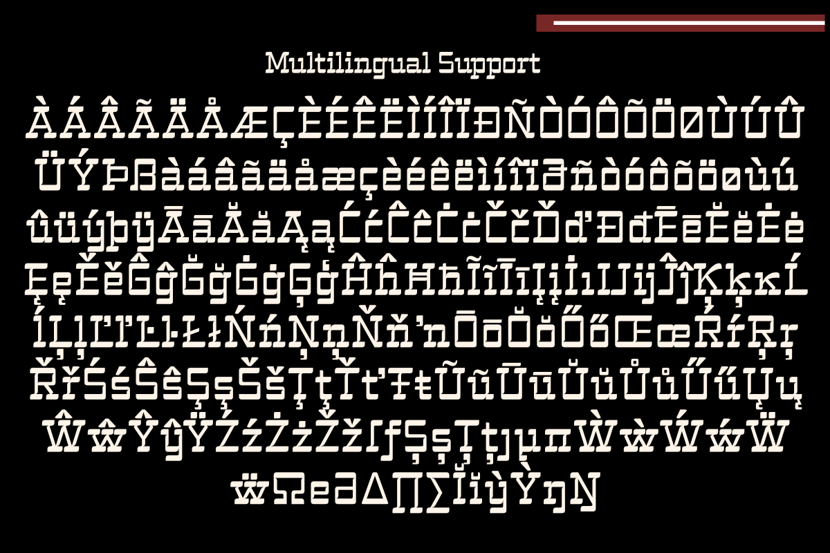 Mbledos Display, a Slab Serif Font by Differentialtype (Photo 10 of 12)