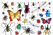 Insects, an Illustration by Alena (Thumbnail 2 of 3)