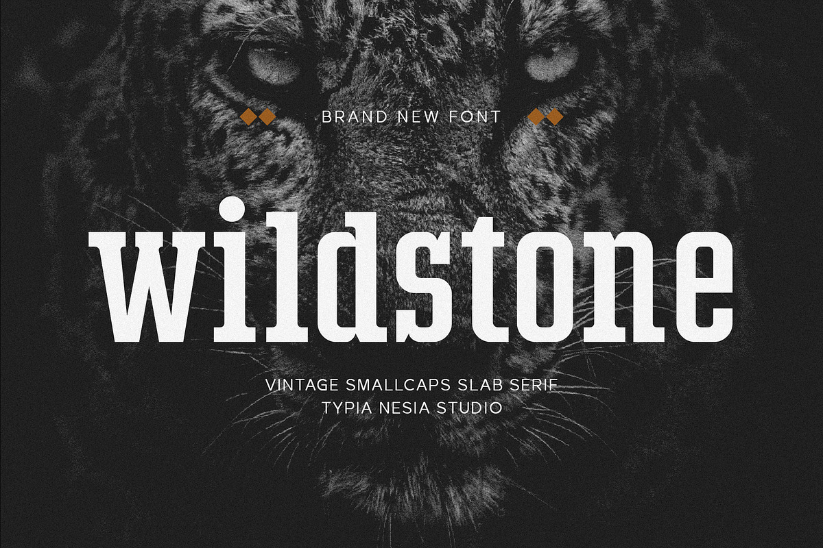 Wildstone Slab, a Slab Serif Font by Typia Nesia (Photo 12 of 12)