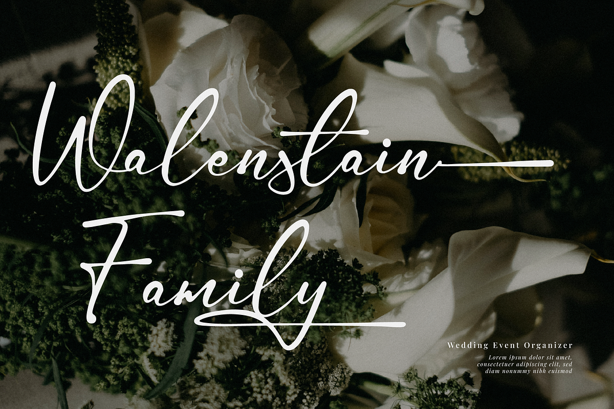 Gamlowfei | Elegant Signature, a Script Font by Denustudios (Photo 8 of 12)