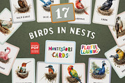 Birds and Their Nests Flash Cards, an Education Illustration by Pix Cafe (Thumbnail 1 of 10)