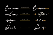 The Diary // Stylish Script Typeface, a Script Font by GDcreative (Thumbnail 2 of 9)