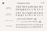 Clemora -  Feminine Minimal Beauty, a Serif Font by roomspace (Thumbnail 10 of 11)