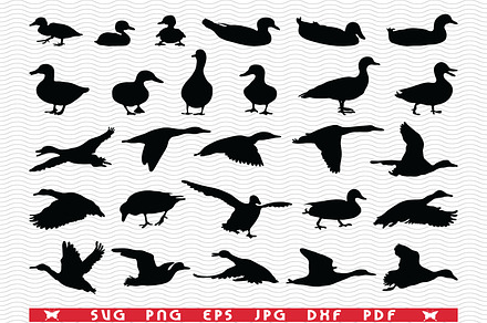 SVG Ducks Duckling,Black silhouettes, an Icon by DesignStudioRM
