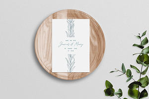 Eucalyptus Leaves Line Art Clipart