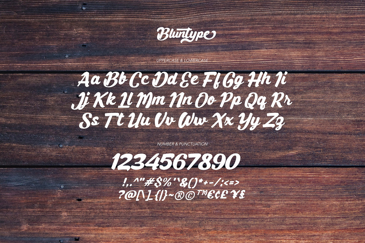 Bluntype Typeface, a Script Font by ikiiko (Photo 6 of 8)