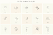 Botanical Hand Drawn Designs, Logos, a Seasonal Illustration by Designwork (Thumbnail 11 of 22)
