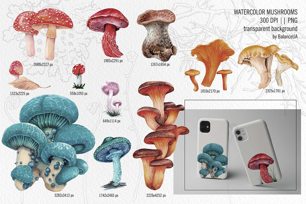 Mashrooms & Herbs Clipart, an Illustration by BalanceUA (Photo 2 of 10)