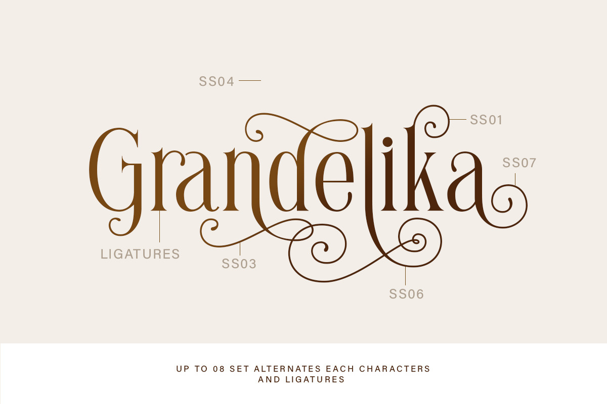 Brilliantly - A Stylish Serif, a Serif Font by Letterhend Studio (Photo 3 of 12)