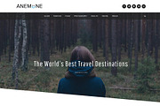 Anemone Magazine WordPress Theme, a WordPress Template by DesignOrbital (Thumbnail 1 of 5)