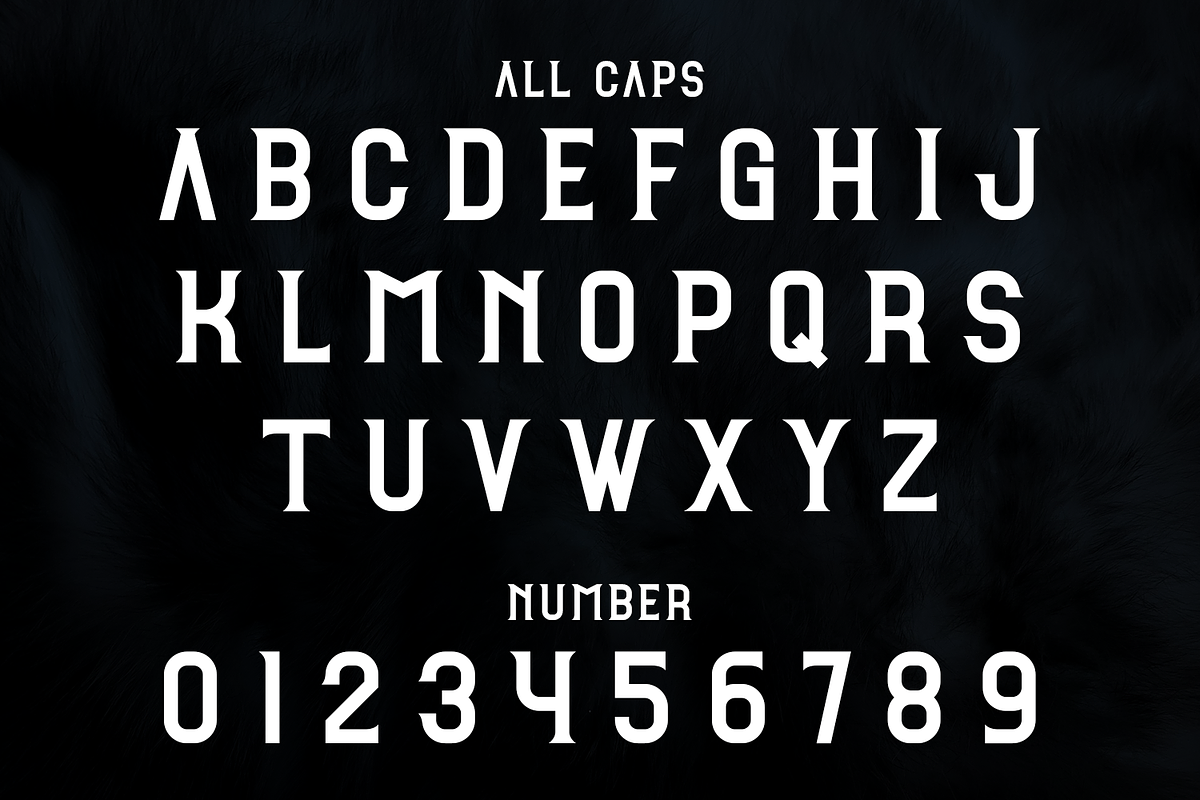 Fetire, a Slab Serif Font by lelevien (Photo 4 of 4)