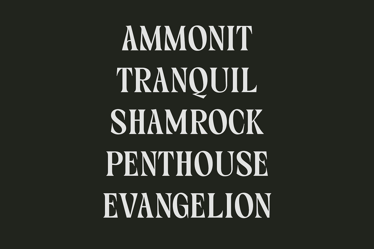 Callgrim - Serif Display Font, a Serif Font by Haps Space (Photo 3 of 14)