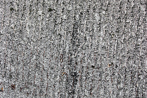 Cracked grunge skate background, a Photo by saiko3p