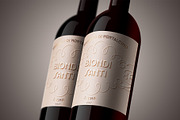 Brillante Typeface, a Serif Font by ManuelRosin (Thumbnail 8 of 19)