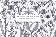 Hand Drawn Spring Flowers Set, a Seasonal Illustration by Yevheniia (Thumbnail 1 of 16)