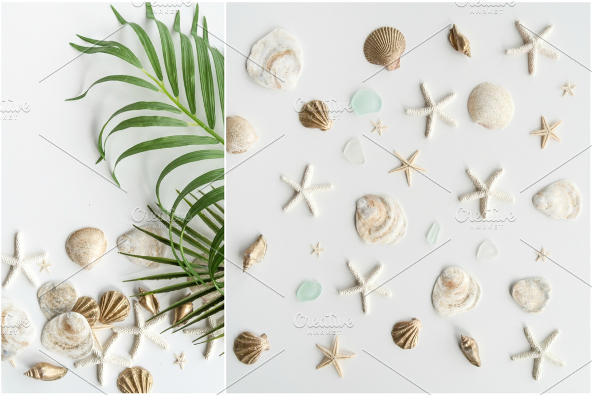 Summer Photo Bundle - Seashells, a Nature Photo by GT Studio (Photo 4 of 11)
