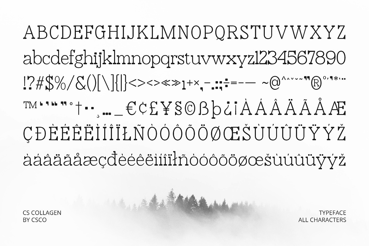 CS Collagen – Modern Font, a Serif Font by Craft Supply Co. (Photo 3 of 8)