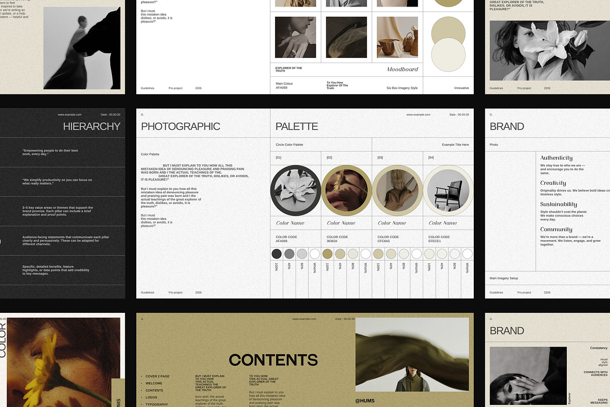 The Brand Guidelines, a Presentation Template by SparkPro (Photo 3 of 14)