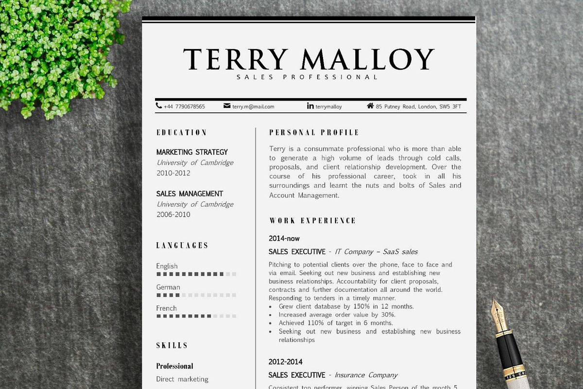 Resume Template | Terry, a Resume Template by ResumeWorkshop (Photo 1 of 5)
