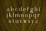 Kittova | An Elegant Serif Font, a Serif Font by Andrimada Creative (Thumbnail 9 of 12)