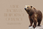Clover Elegant Serif Font, a Serif Font by Perfectype (Thumbnail 3 of 10)