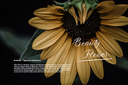Roshiaty - Signature Casual Font, a Script Font by Dhabee (Thumbnail 13 of 14)