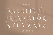 QHARO - Elegant & Luxury, a Serif Font by BOOSH Studio (Thumbnail 12 of 14)