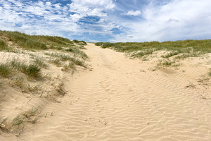 Beach Sand Dunes, a Nature Photo by THP Creative