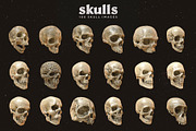 Skulls: 108 Skull Images, an Object Graphic by RuleByArt (Thumbnail 14 of 16)