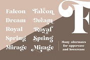 Morando, a Serif Font by Larin Type Co. (Thumbnail 6 of 16)