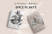 BUNDLE - Vector Herbs & Spices, a Food Illustration by Yevheniia (Thumbnail 6 of 12)