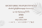 Dwiahe Momkic Font, a Serif Font by Onotype (Thumbnail 4 of 5)