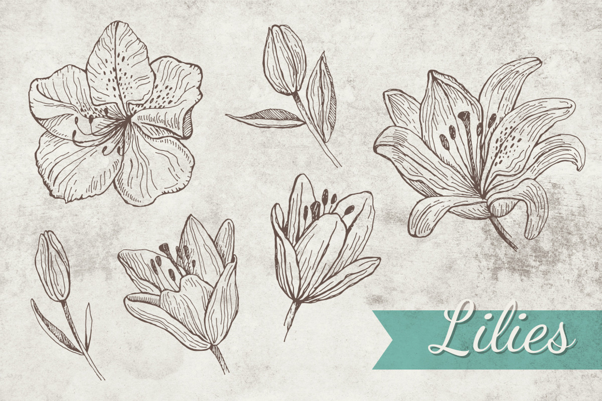 Doodle Lilies + Bonus pattern, an Illustration by piyacler (Photo 1 of 2)