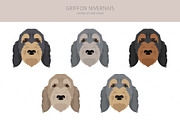Griffon Nivernais dog clip art, a Background Graphic by pet design shop (Thumbnail 5 of 6)
