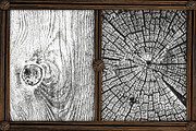 Old Wood | Texture Pack | 18 PNGs, a Texture Graphic by Artem Vorotnikov (Thumbnail 9 of 9)