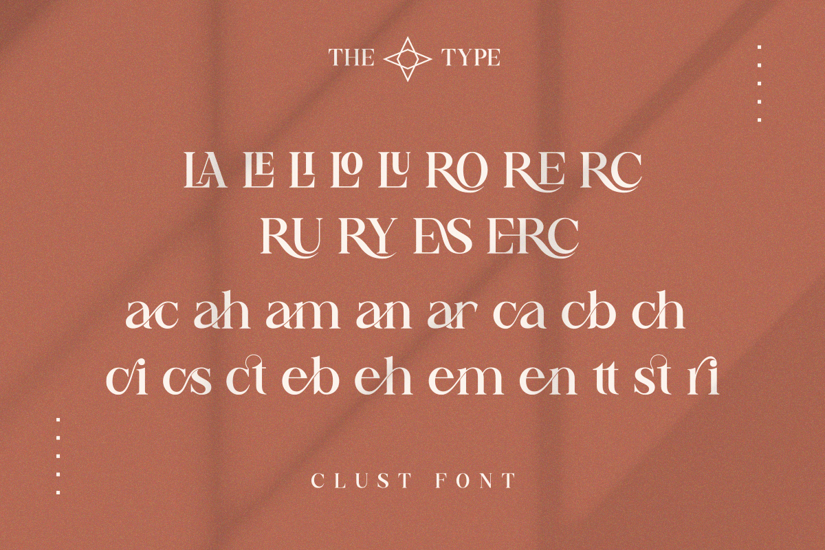 Clust - Modern Serif Elegant, a Serif Font by The_Type (Photo 10 of 11)