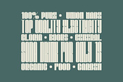 Bauhead Typeface | Font, a Sans Serif Font by Headfonts (Thumbnail 4 of 8)