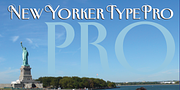 New Yorker Type Pro, a Serif Font by Wiescher-Design (Thumbnail 2 of 8)
